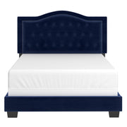 Pixie Bed in Blue Box Spring Required: